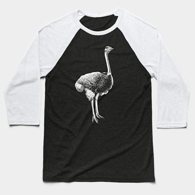 Common Ostrich Animal Portrait Baseball T-Shirt by MMMSDesigns